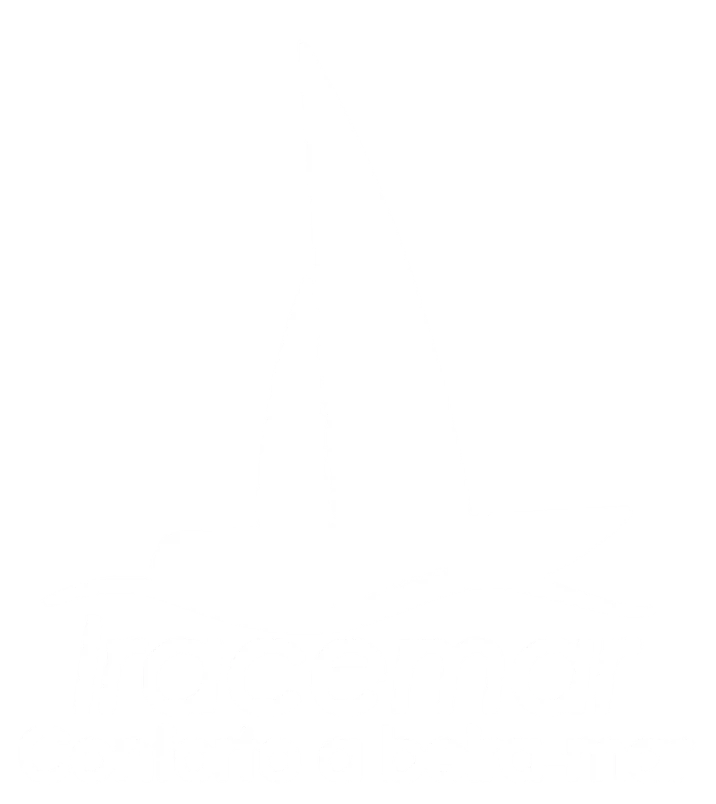 Logo branco Iracemar