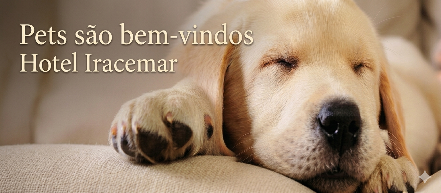 Casal sentado na cama em um ambiente claro e aconchegante, sorrindo enquanto usa um notebook e faz carinho em um cachorro deitado de barriga para cima entre eles.